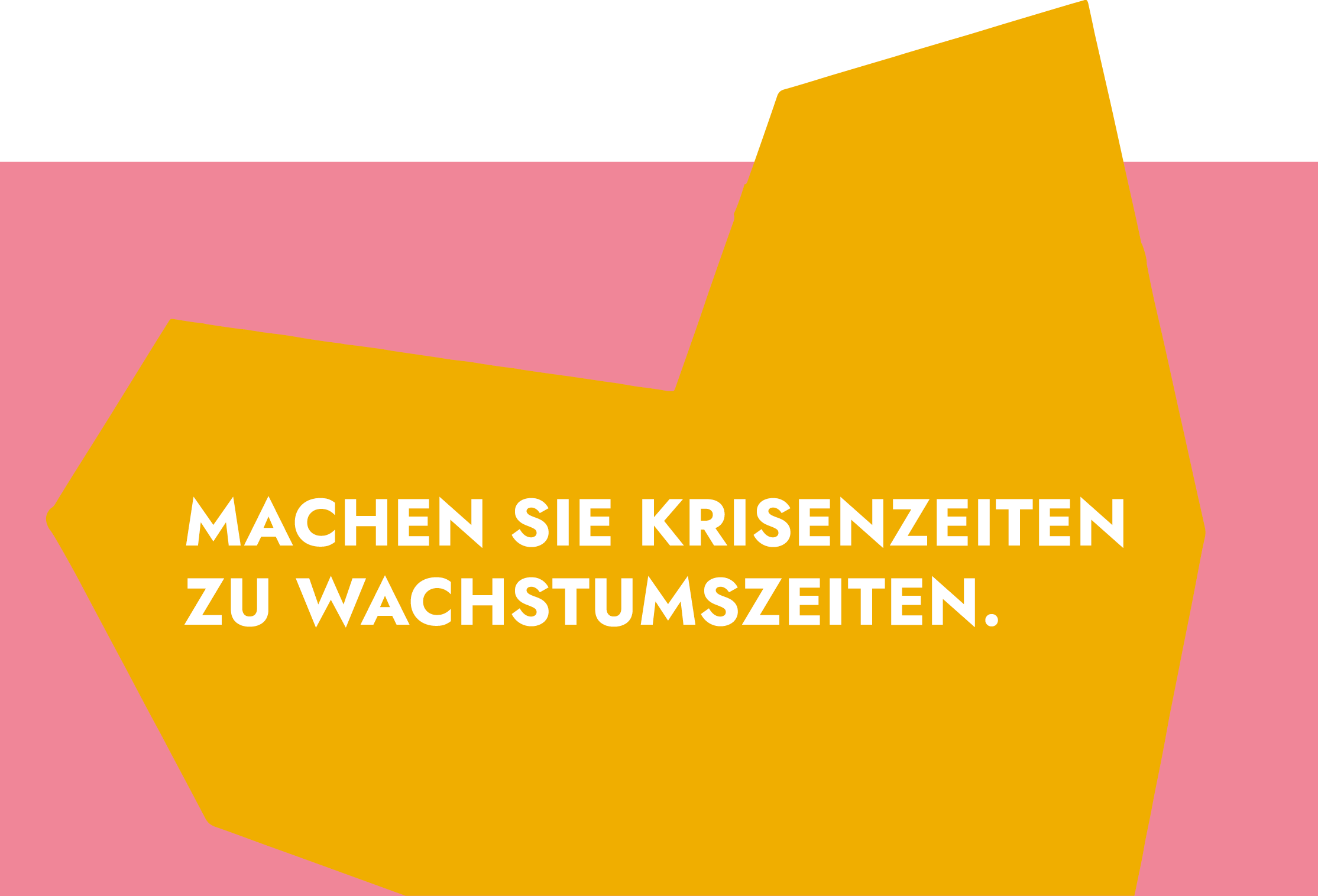 Machen Sie Krisenzeiten zu Wachstumszeiten.